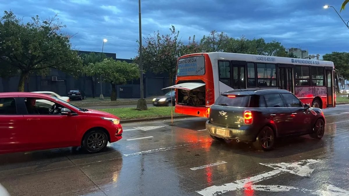 Un colectivo generó inconvenientes en Avenida Alem | Noticias