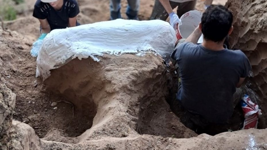 La provincia anunció un importante hallazgo paleontológico en la región | Información General