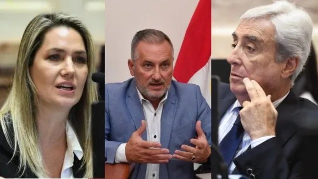 Ficha Limpia: ¿cómo votaron los senadores santafesinos? | Información General