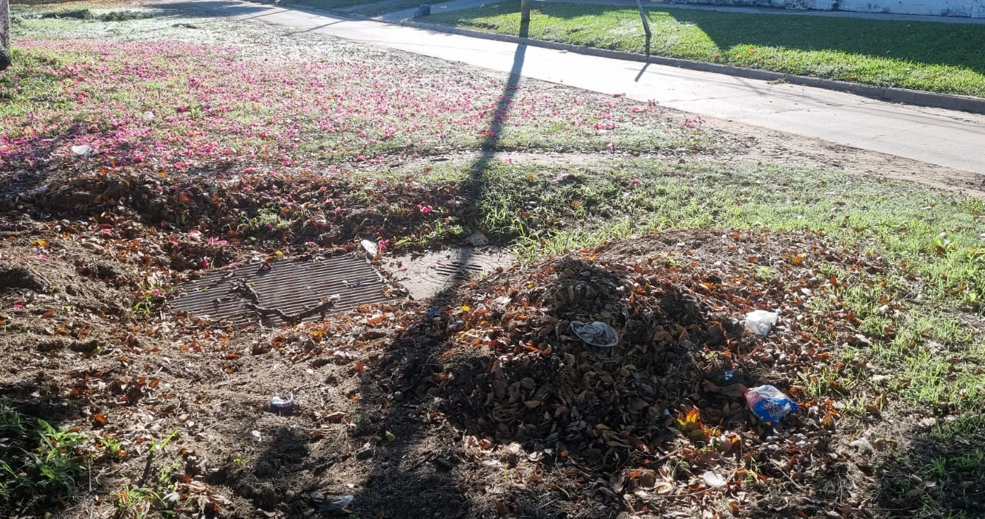 Vecinos de Guadalupe Este preocupados por falta de limpieza de bocas de tormenta | Información General