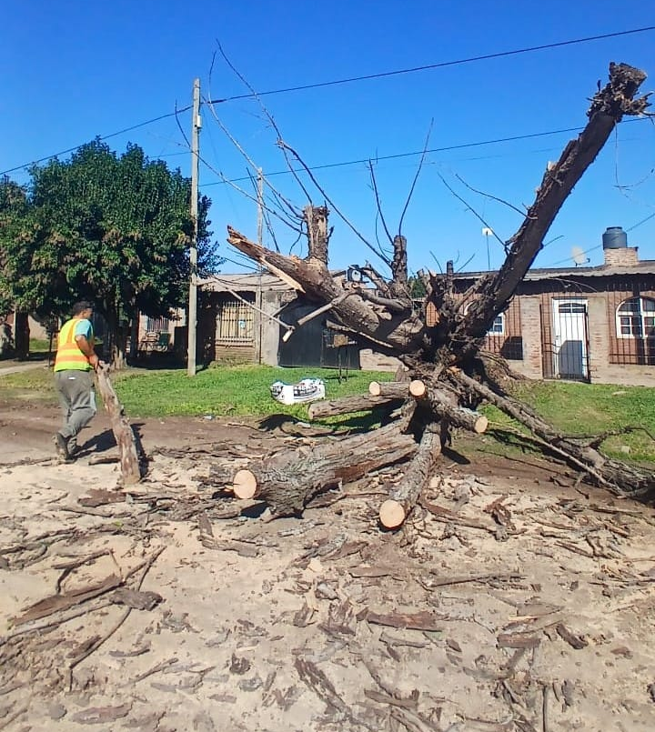 Santo Tomé: La Municipalidad trata de normalizar la situación tras la tormenta | Información General