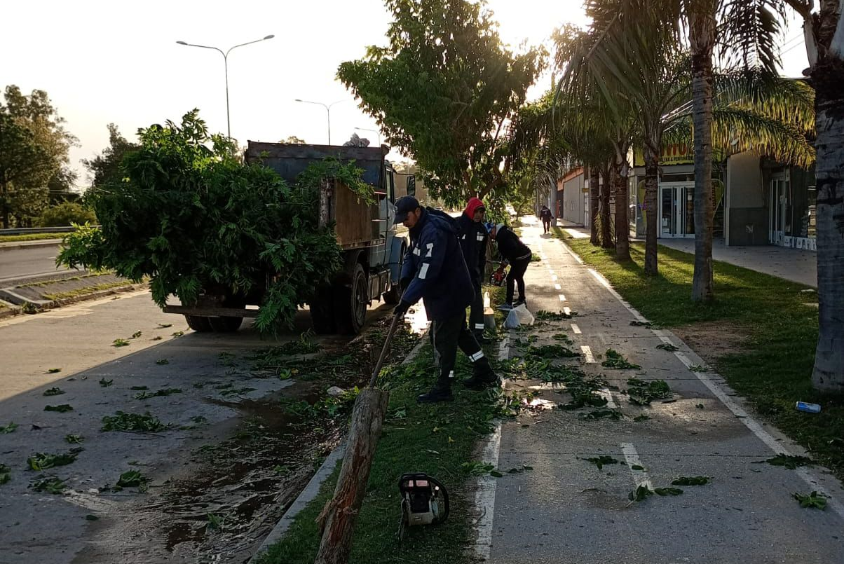 ¿Qué tipo de reclamos se hicieron a la Municipalidad tras la tormenta en Santa Fe? | Información General