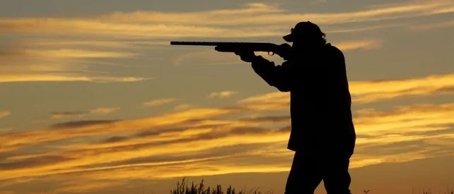 Trágico: en un campo santafesino, un cazador murió tras recibir un disparo en la cabeza | Noticias