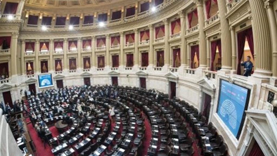 Con holgada mayoría, la oposición logró aprobar la ley de emergencia en Discapacidad en Diputados | Nacionales
