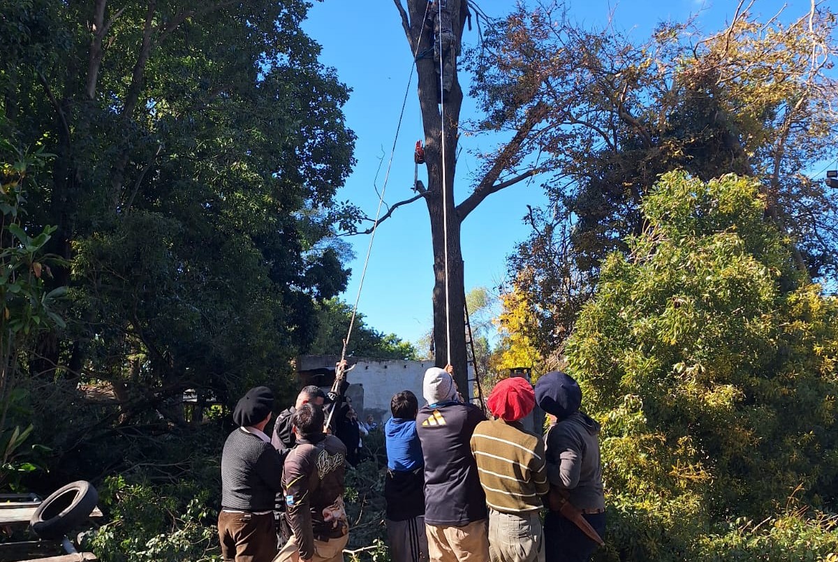La policía rescató a un hombre que quedó colgado de un árbol mientras podaba | Policiales