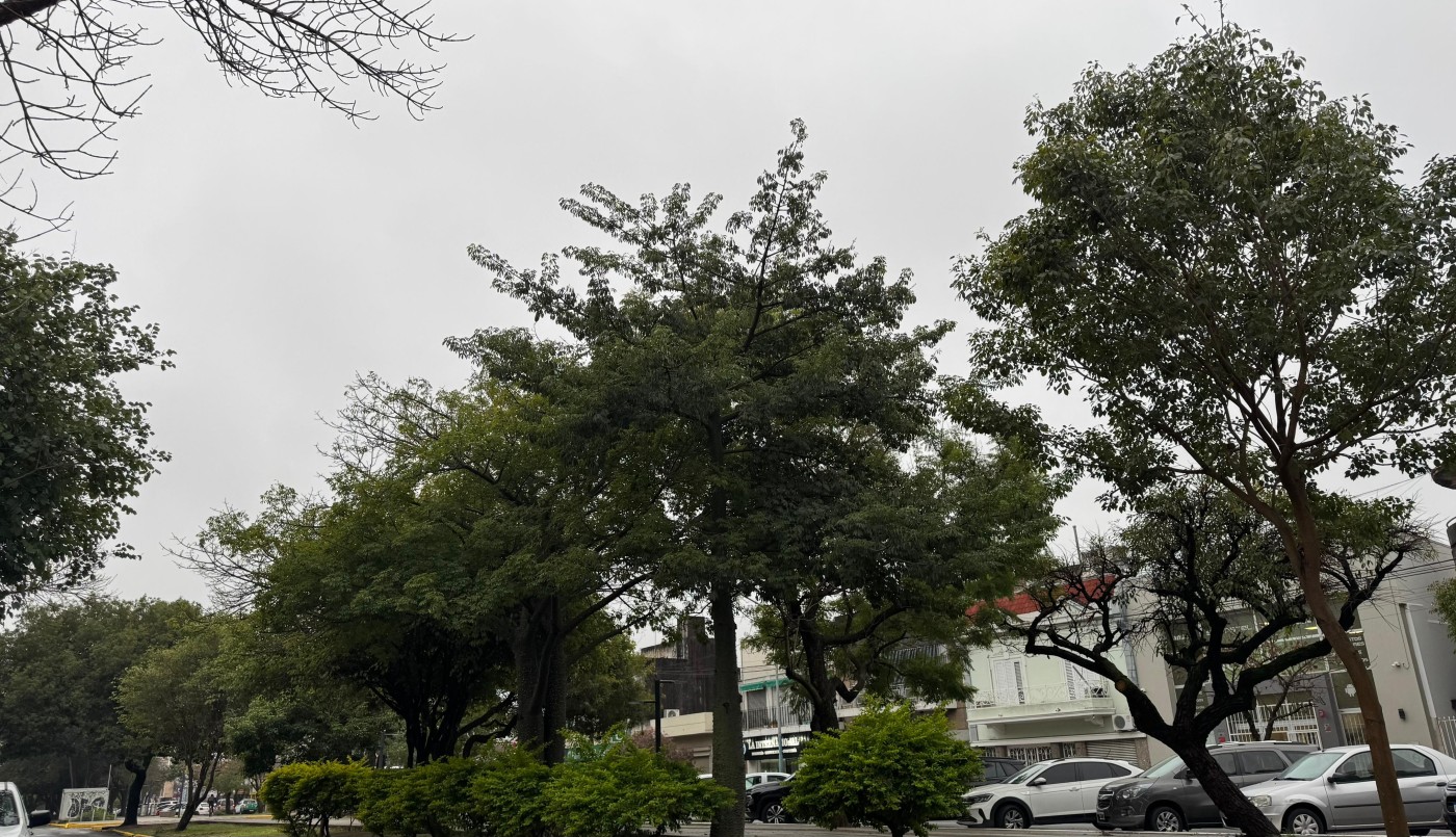 ¿Cuánto llovió y cómo seguirá el tiempo en Santa Fe durante el fin de semana? | Información General