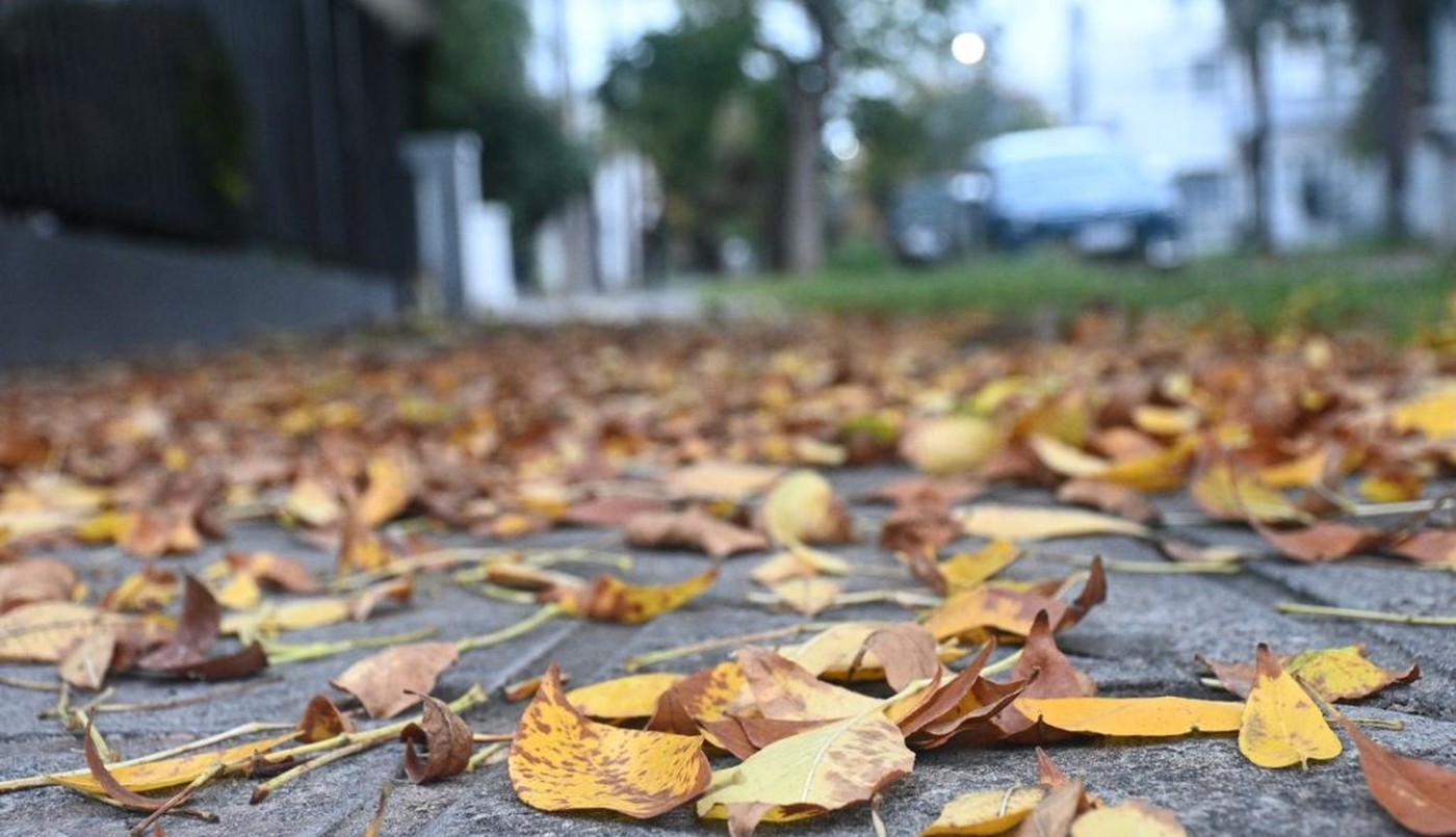 Otro día gris en la ciudad: ¿será el día más frío de la semana? | Información General