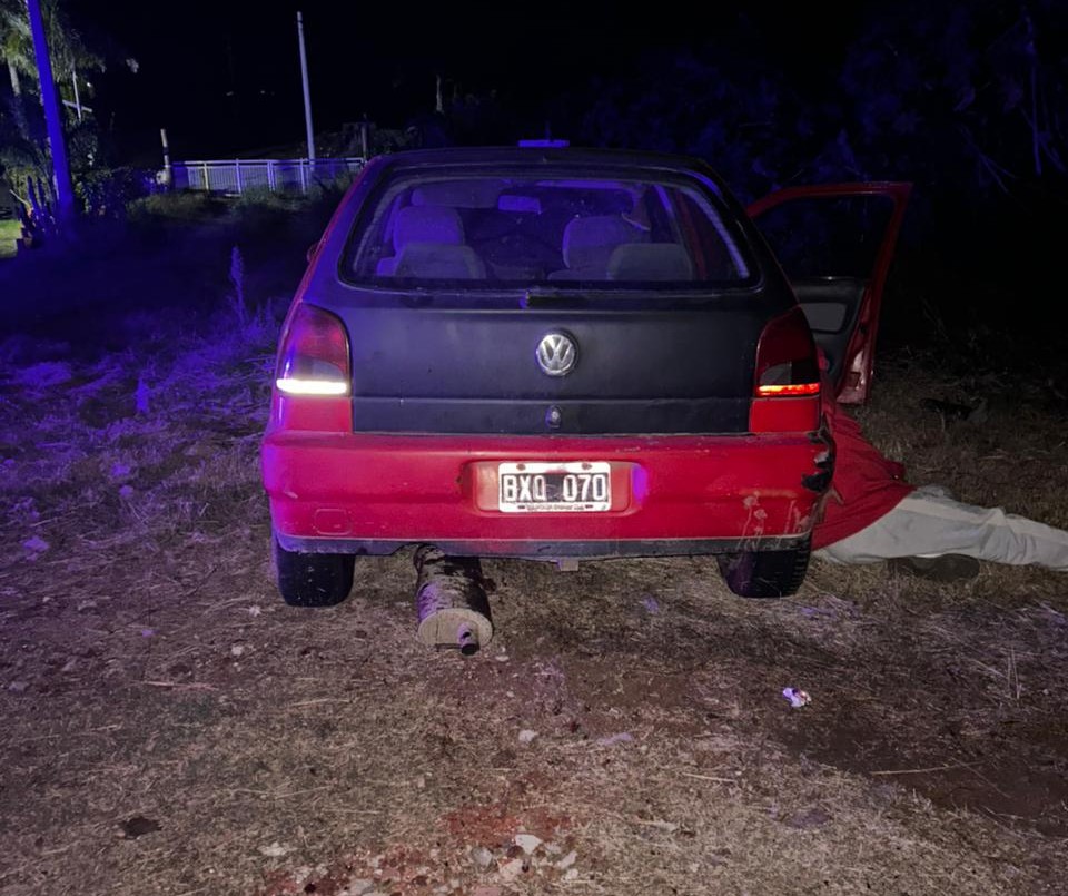 Un caballo suelto provocó un fuerte accidente en Ruta Provincial 1 | Policiales