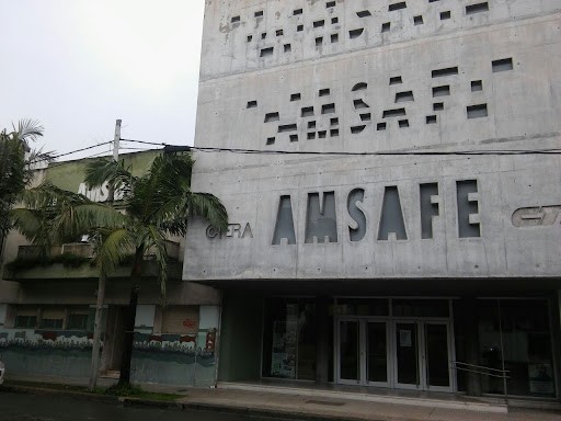 Se llevan adelante elecciones en el gremio de Amsafe | Información General