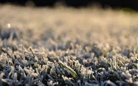 ¿Último día con temperaturas bajo cero? Así se presenta el miércoles en la ciudad | Información General