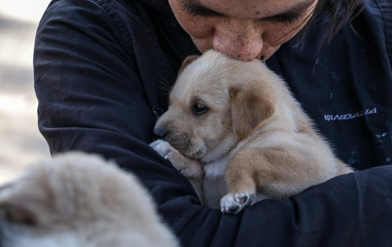 IMUSA realizó más de 10.000 atenciones durante el mes de junio | Noticias