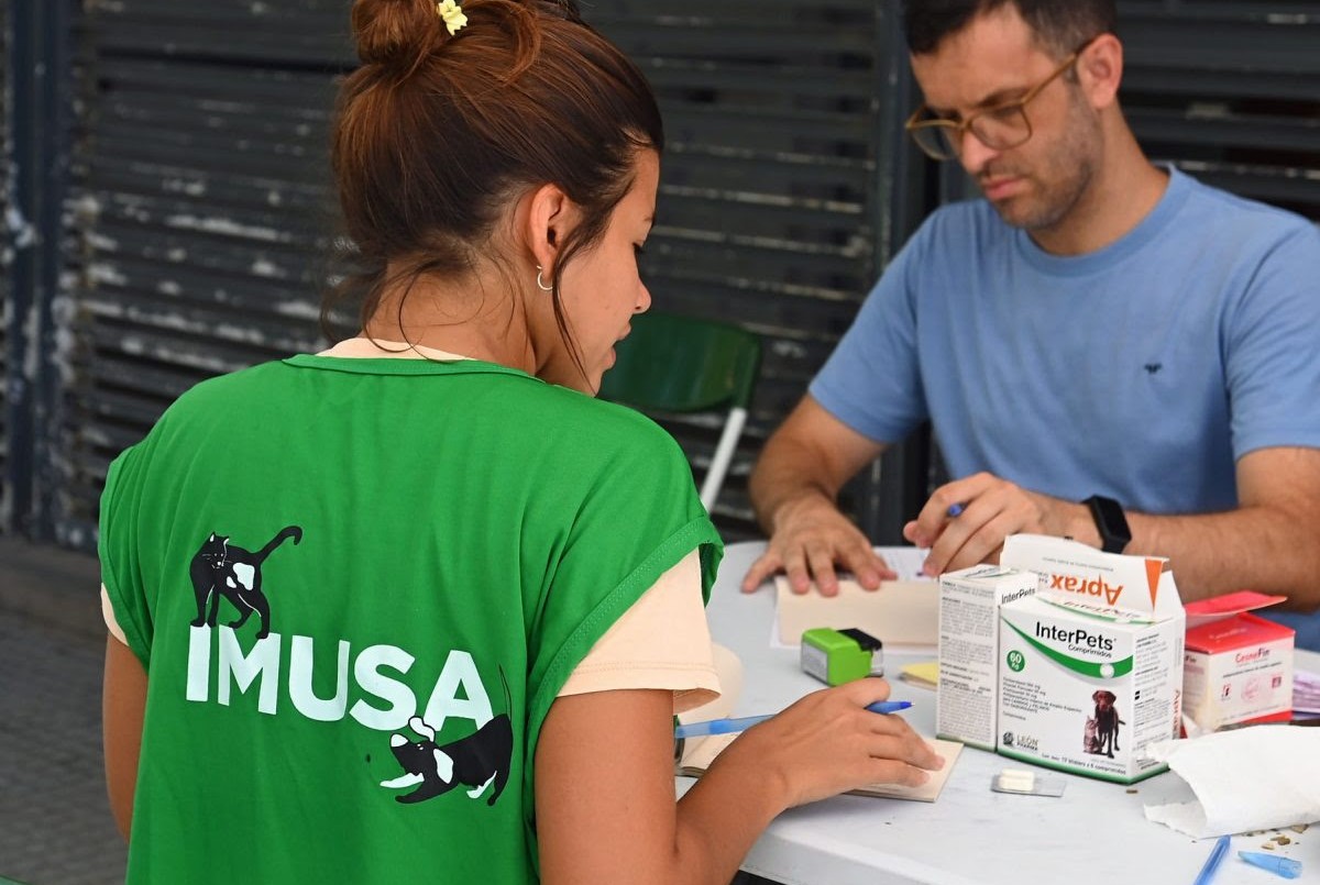 El IMUSA realizará castraciones masivas en barrio Centenario | Noticias
