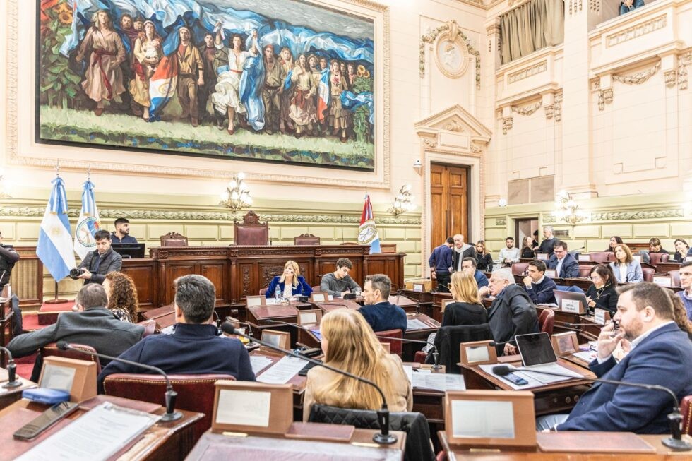 Reforma: la Comisión de Declaraciones, Derechos y Garantías inició con las audiencias solicitadas | Información General