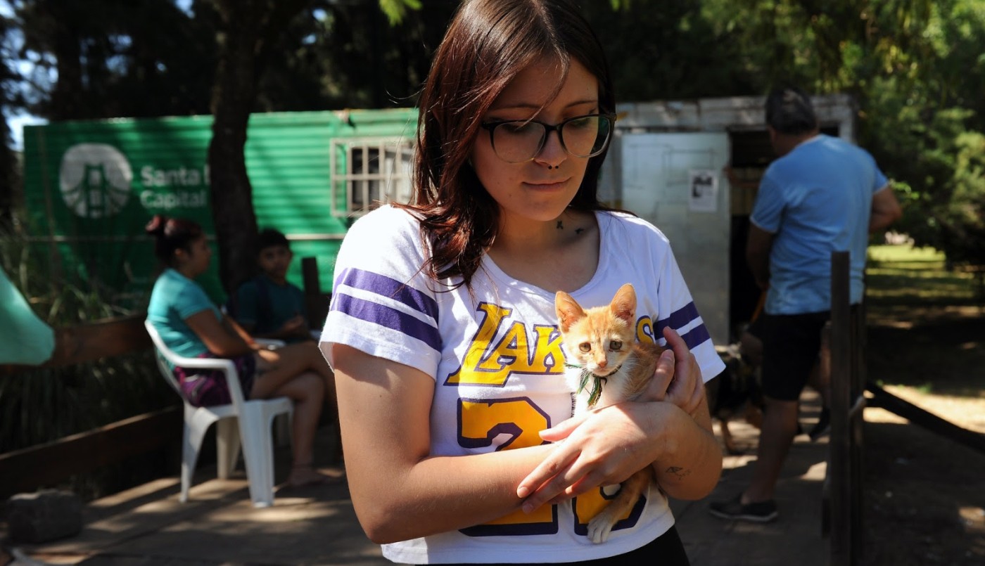 El IMUSA realizará castraciones masivas en barrio Chalet | Noticias