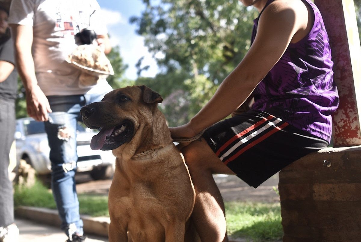 IMUSA superó las 10.000 atenciones veterinarias en el mes de julio | Noticias