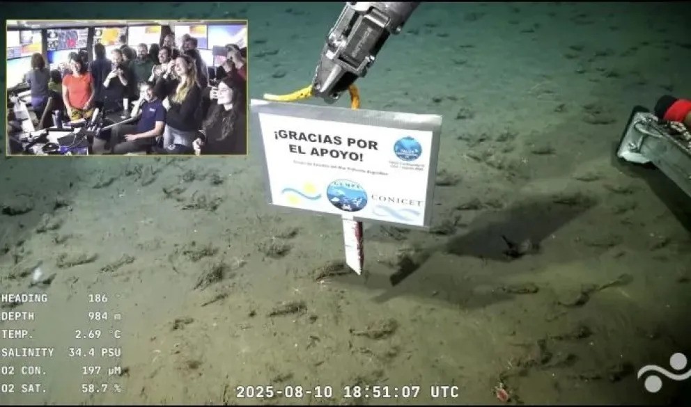 Fin de la expedición del Conicet en Mar del Plata: ¿Cuándo será la próxima? | Nacionales