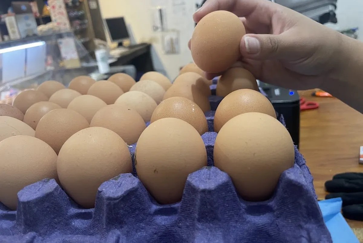 Récord en el consumo de huevos en Argentina: 380 unidades per cápita en seis meses | Nacionales