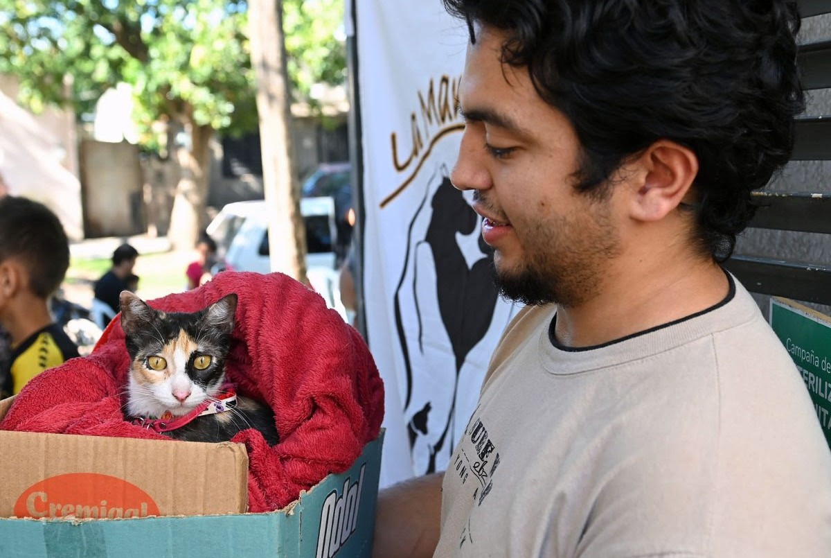 El IMUSA realizará castraciones masivas en barrio Pompeya | Noticias