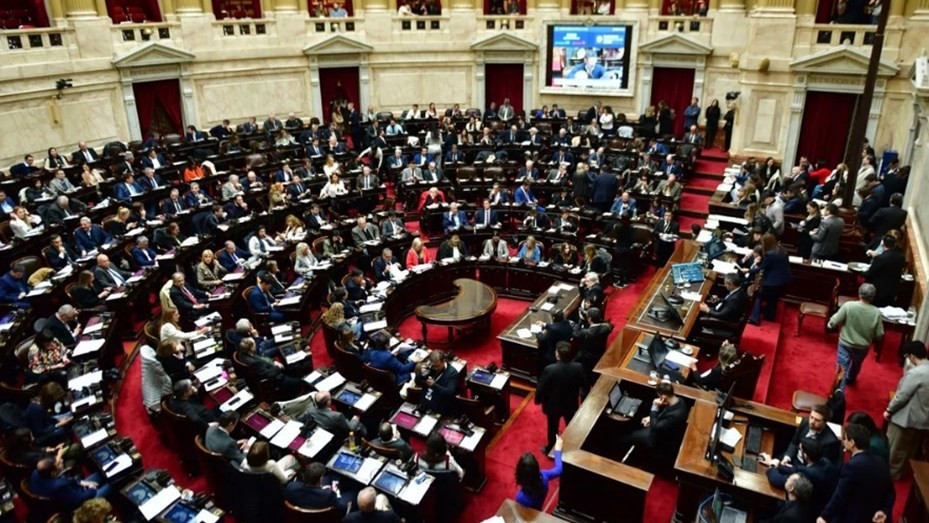 Diputados: la oposición logró rechazar el veto de Milei a la ley de emergencia en discapacidad | Nacionales