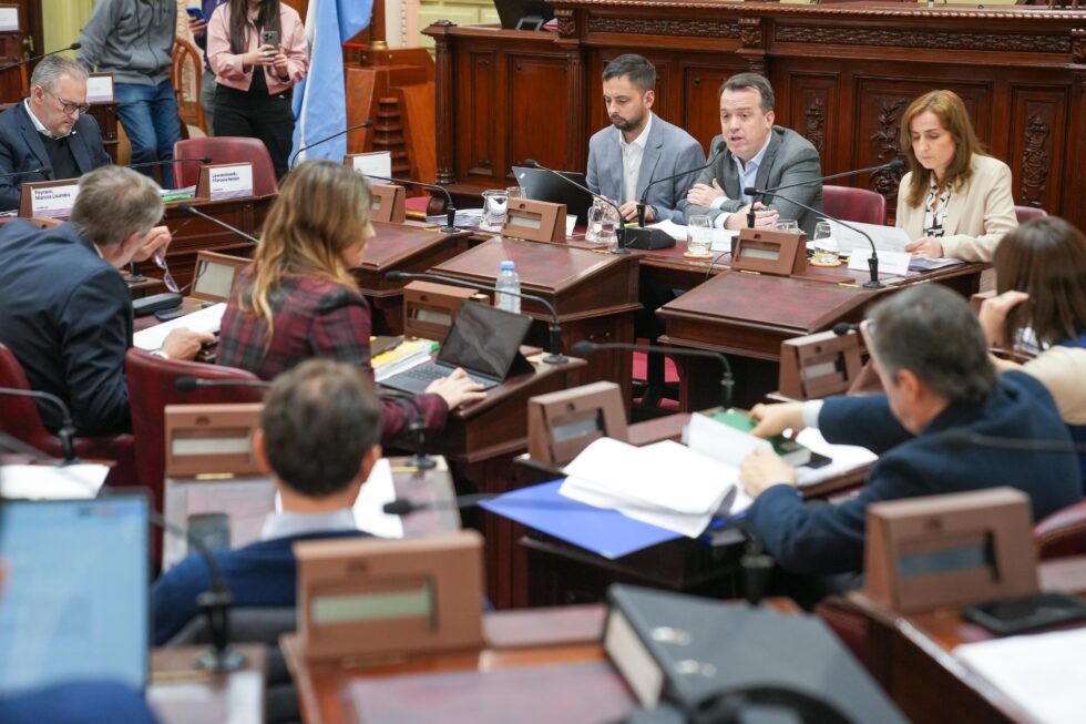 La Convención Reformadora ingresó en la etapa de redacción del nuevo texto constitucional | Información General