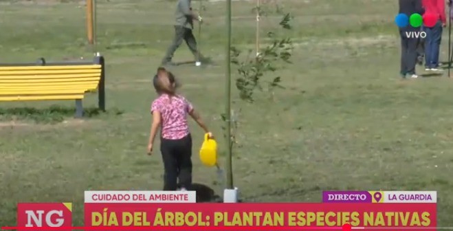 Santa Fe avanza en su plan de forestación: más de 2.800 árboles plantados en lo que va del año | Información General