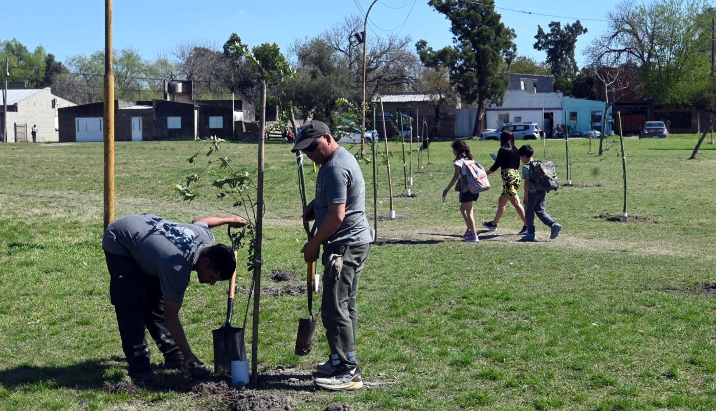 Por el Día Nacional del Árbol, la ciudad sumará 2.000 ejemplares nuevos | Información General