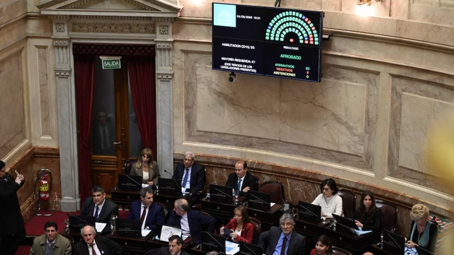 El Senado rechazó el veto en Discapacidad y la ley deberá ser promulgada | Nacionales