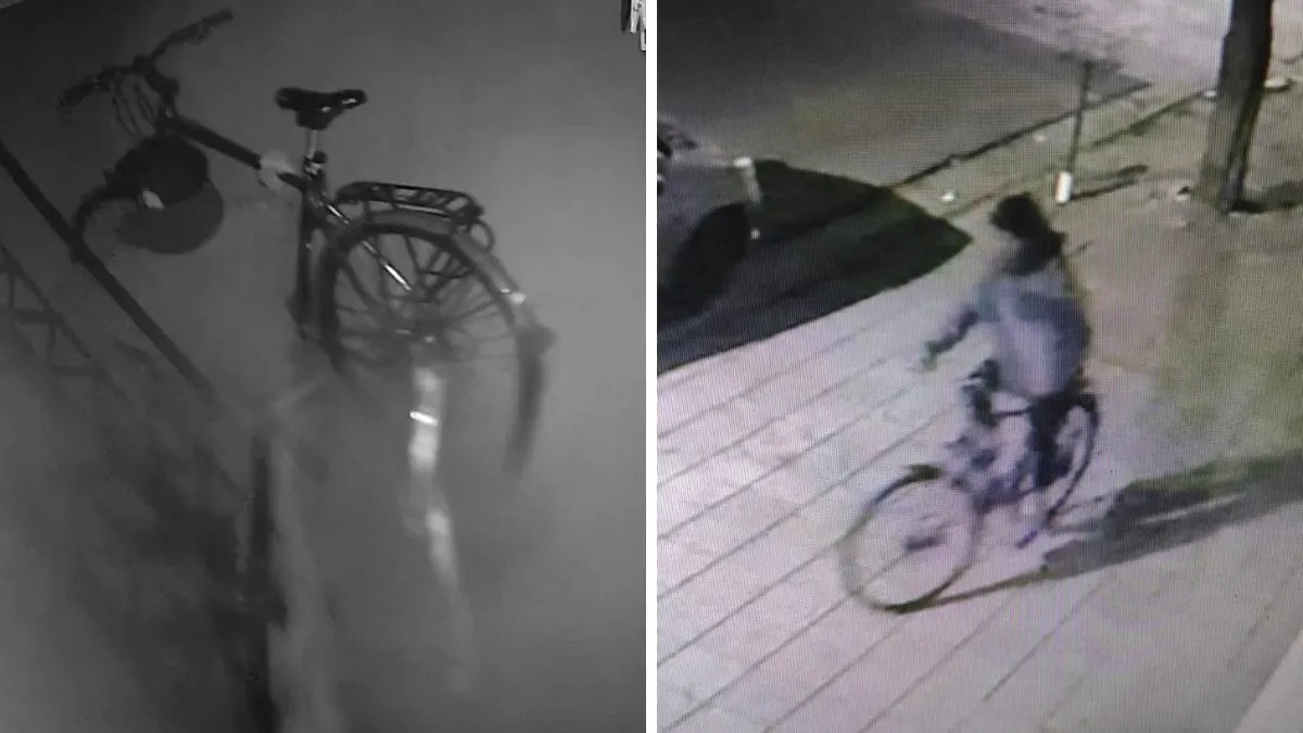 Barrio Sur: un ladrón entró por los techos, robó una bici y escapó saltando desde 5 metros | Policiales