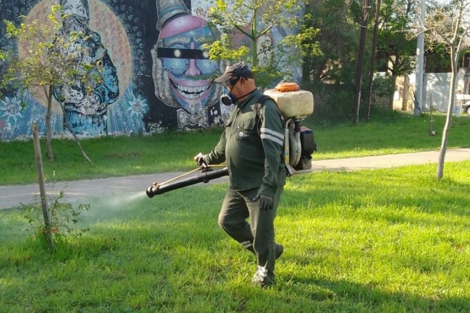 Fumigan parques y plazas de cara a la temporada de verano | Información General