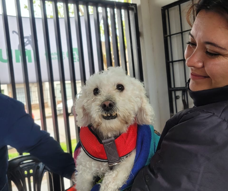 El IMUSA realizó más de 300 intervenciones en barrio San Lorenzo | Noticias