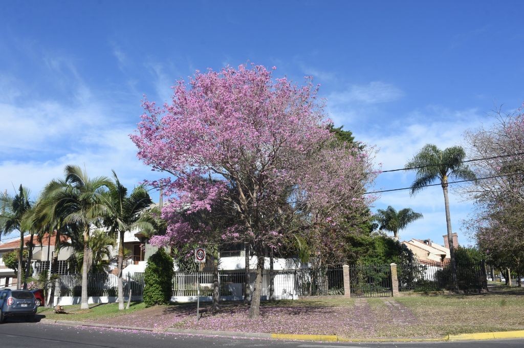 Buen tiempo para este jueves en la ciudad de Santa Fe | Información General
