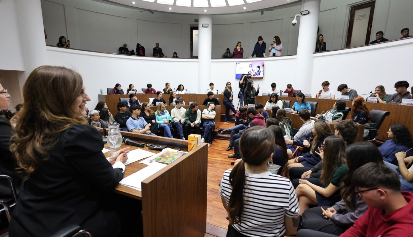 El Concejo Joven eligió sus autoridades para la sesión en la que votarán sus proyectos | Legislativas