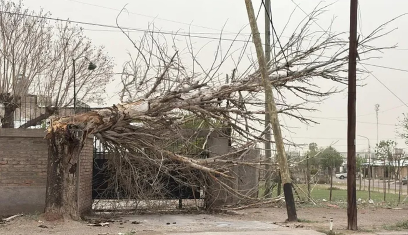 Temporal en Mendoza: un muerto, vuelos suspendidos y graves daños por el viento | Información General