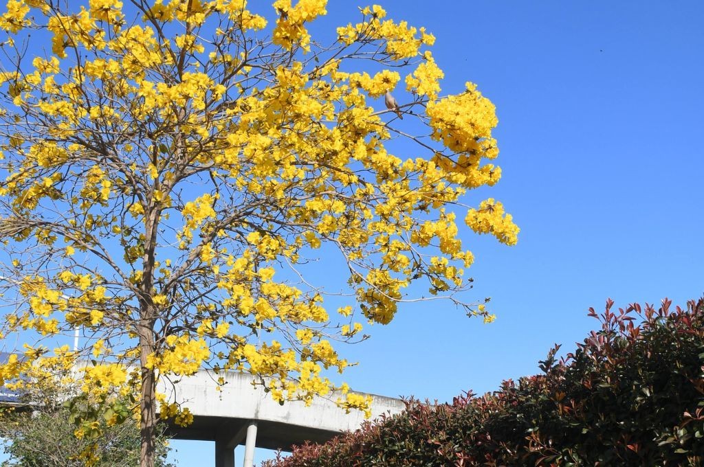 Comienza a subir la temperatura en la ciudad: así se presenta el martes en Santa Fe | Información General