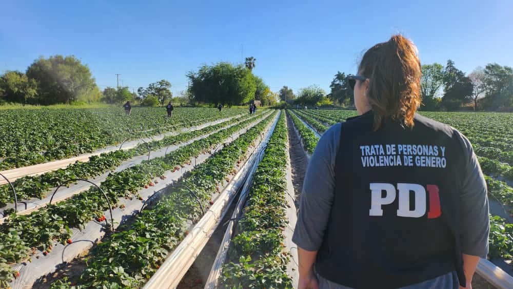 Explotación laboral en Arroyo Leyes: continuará detenido el dueño del campo | Judiciales