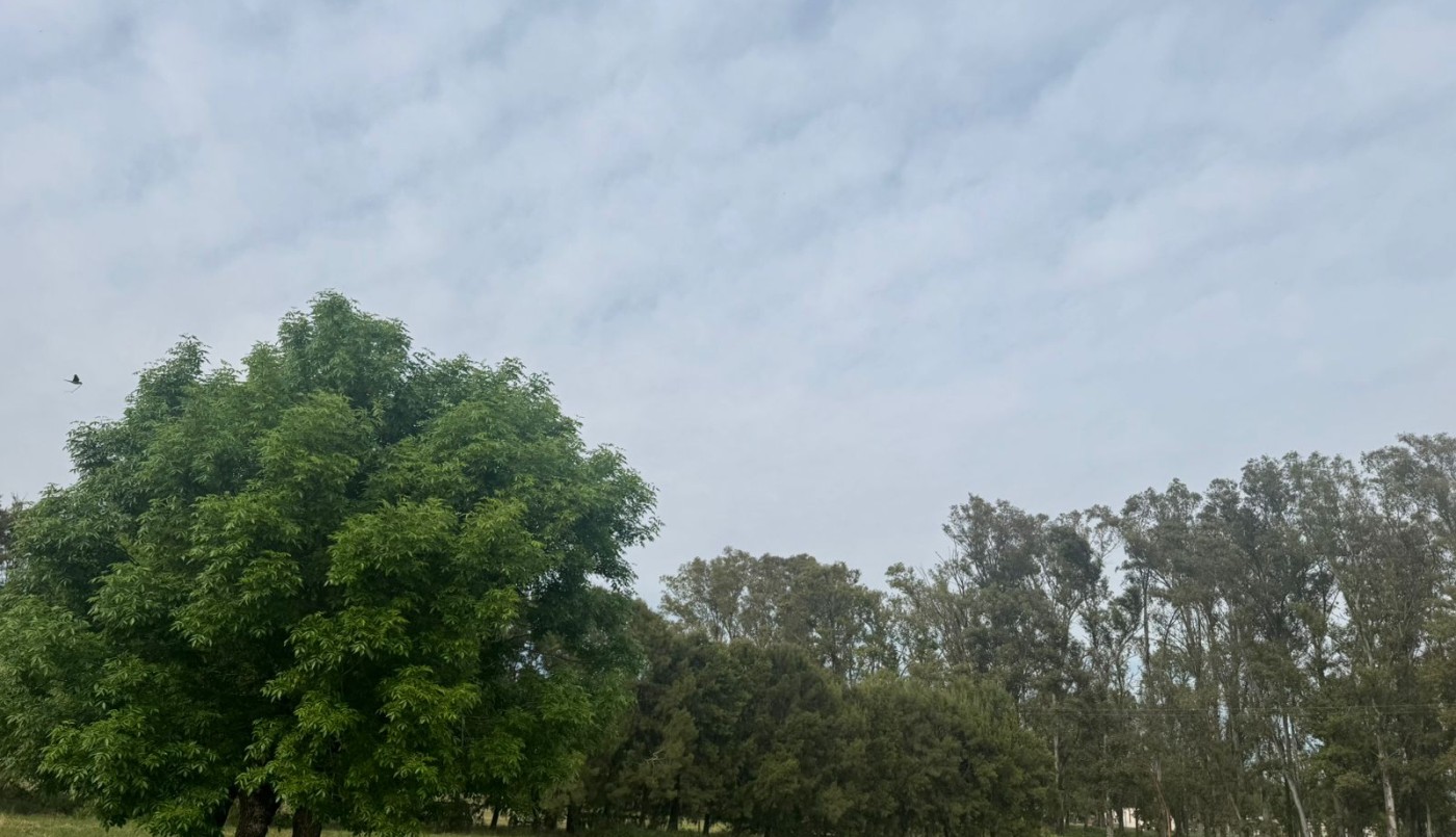 Pronóstico del tiempo: ¿Llega la lluvia a Santa Fe este sábado? | Información General