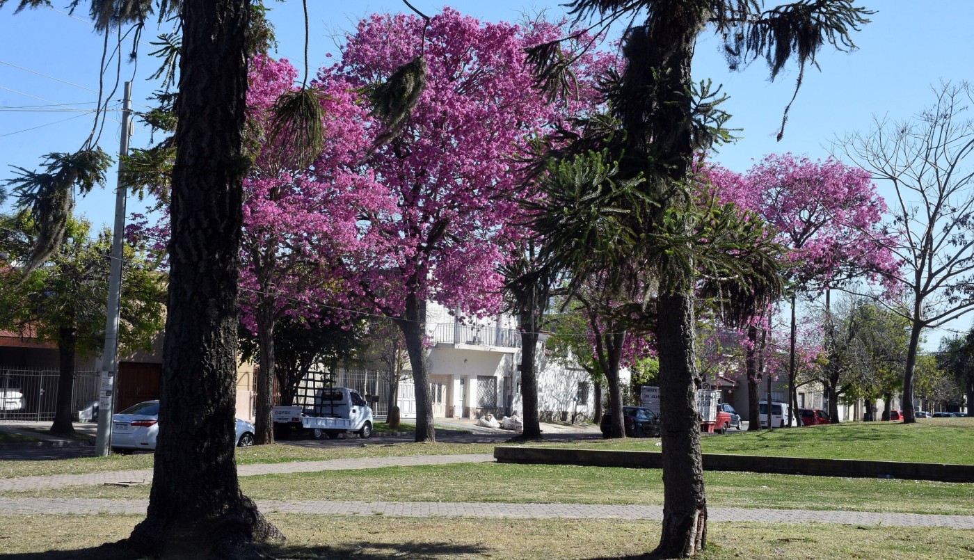 Crecen las chances de lluvia para este jueves en la ciudad de Santa Fe | Información General