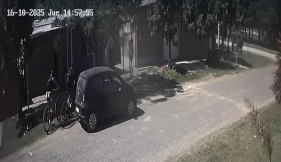 Dos jóvenes salvaron de una brutal golpiza a un perro en Sauce Viejo | Información General