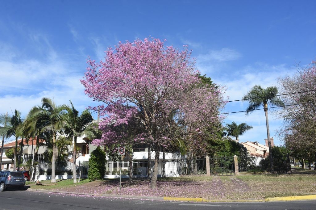 Sube la temperatura en Santa Fe: así se presenta el martes en la ciudad | Información General