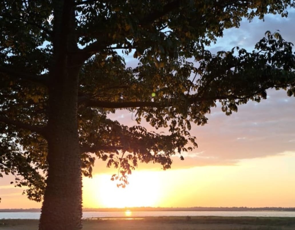 Jueves de calor y desmejoramiento: ¿lloverá en la ciudad de Santa Fe? | Información General