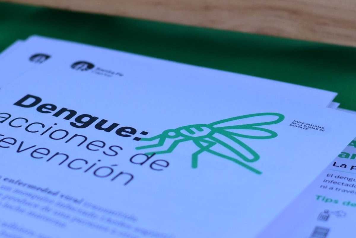 Se confirmó la presencia del vector del dengue en 16 barrios de la ciudad de Santa Fe | Salud