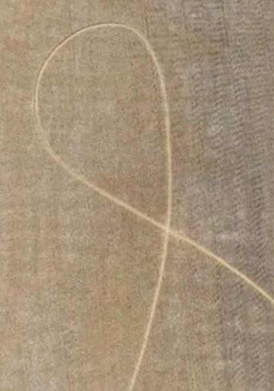 Misteriosas marcas aparecieron en campos de Avellaneda | Información General