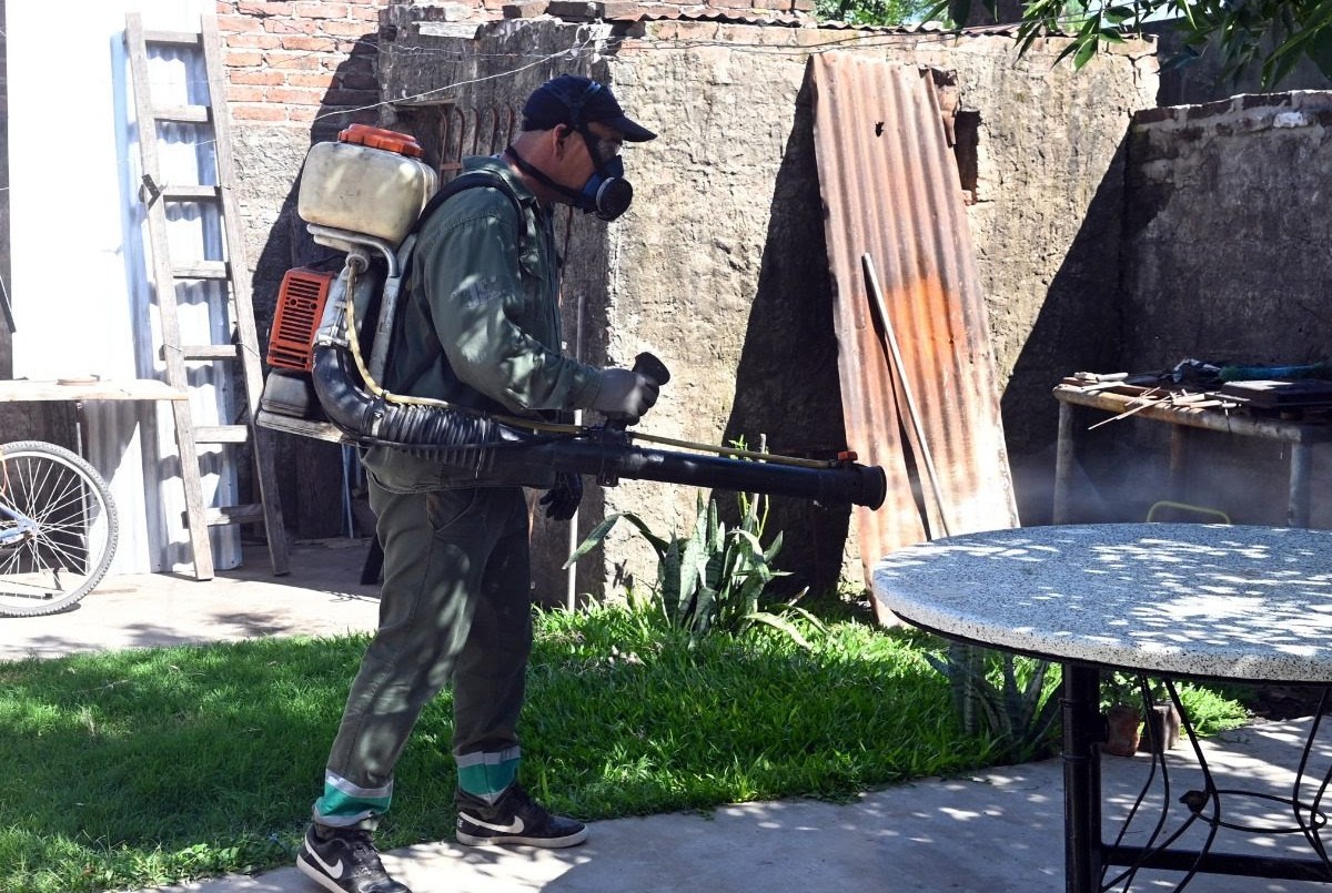 Trece barrios de nuestra ciudad muestran la presencia del vector del dengue | Salud