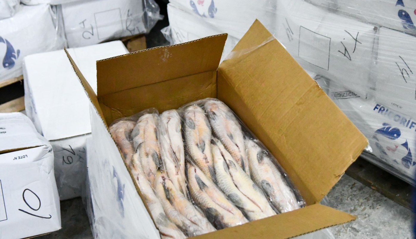 Desde Provincia defendieron la suspensión por un año del acopio de pescado para exportación | Información General