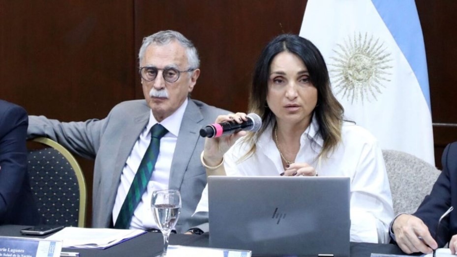 Más cambios en el Gobierno: renunció la viceministra de Salud Cecilia Loccisano | Nacionales
