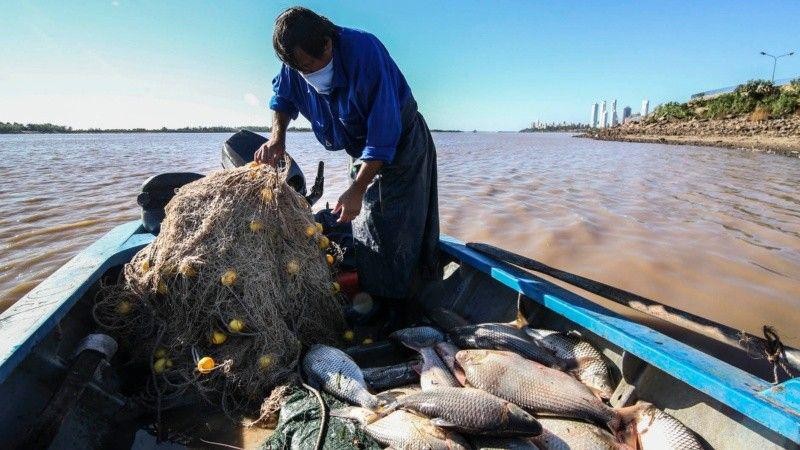 El gobierno recibe a pescadores para destrabar conflicto por la veda | Información General