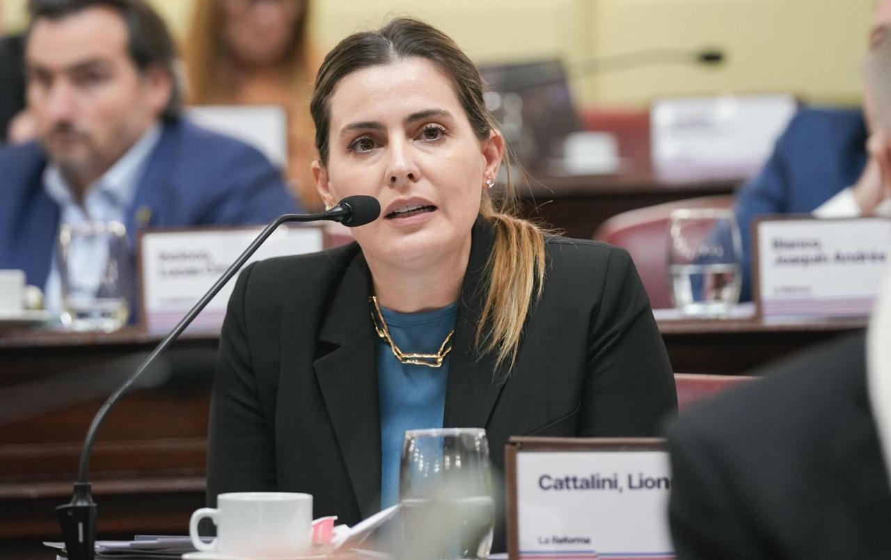 Le solicitan al Consejo de la Magistratura que acelere el caso del juez Salmain | Legislativas