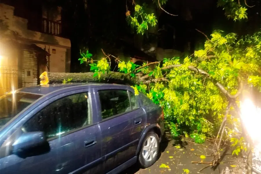 Intenso temporal en Paraná provocó daños y anegamientos | Información General