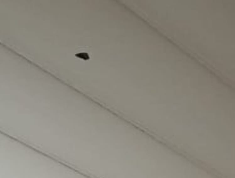 Atacaron a balazos a una vivienda: una bala perforó el cielo raso | Policiales