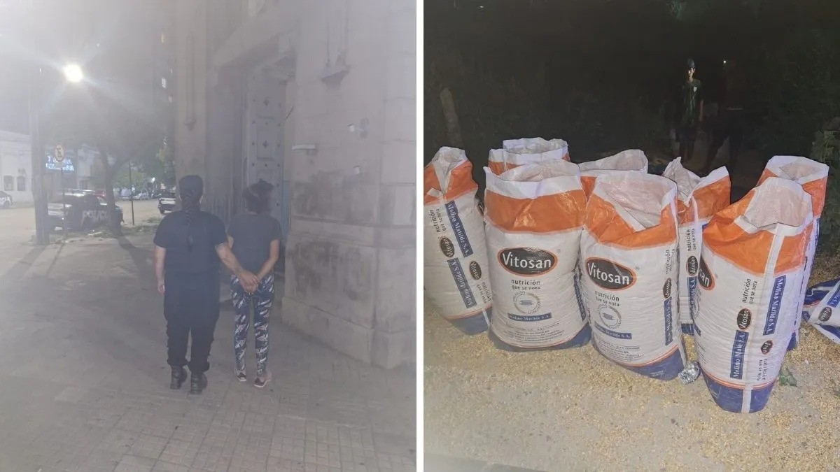 Una mujer se robó 8 bolsas de 50 kilos de cereal: quedó detenida | Policiales